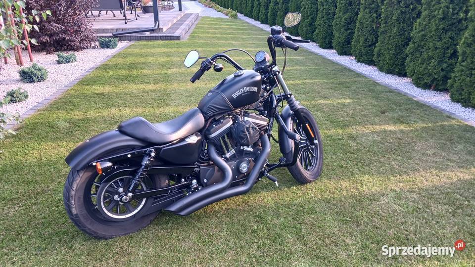 HarleyDavidson Iron Sportster zielony