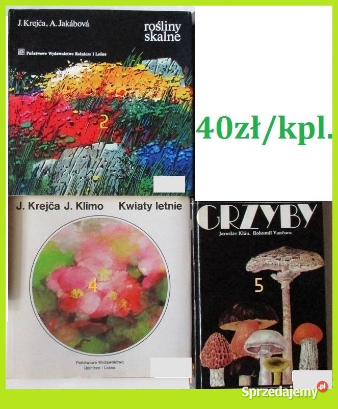 Rośliny skalne Kwiaty letnie Grzyby przyroda łódzkie