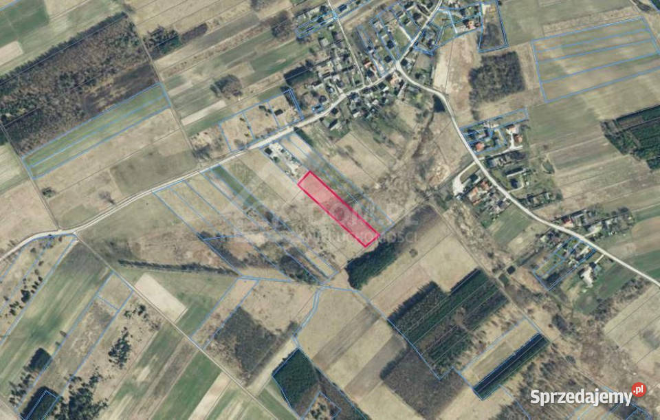 Działka 6500 m2 w Łukowej gm Chęciny Grunty i działki Łukowa