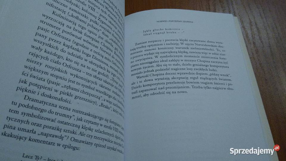 Poezja polska romantyzmu do dwudziestolecia szkoła ponadgimnazjalna Gdańsk sprzedam