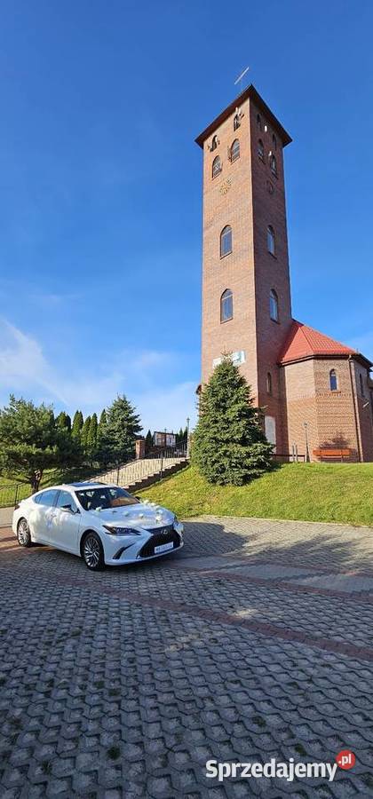 Auto do Ślubu Jakość usługi nie do pobicia