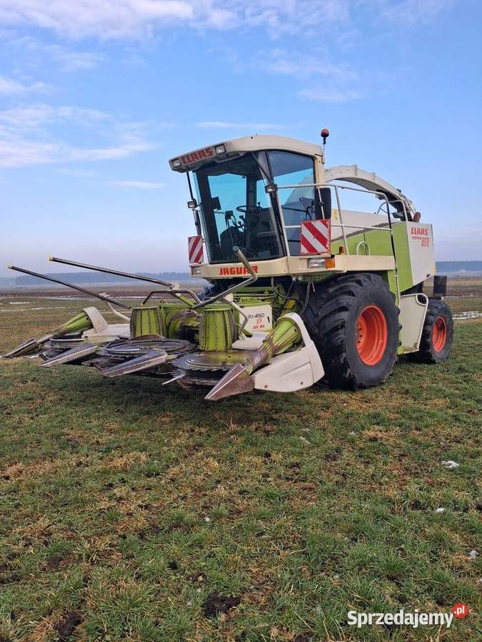 Claas Jaguar 860 z napędem 4x4 ru xtra 450 Izbicko