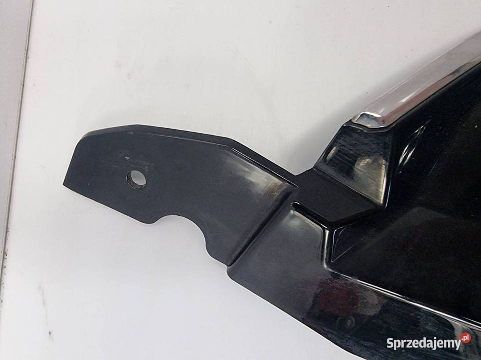 GRILL ATRAPA FORD C Lipno