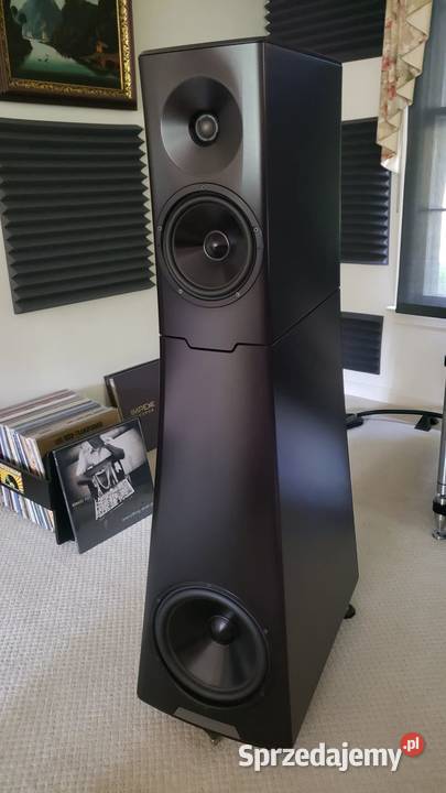 YG Acoustics Hailey 12 kujawsko-pomorskie Bydgoszcz
