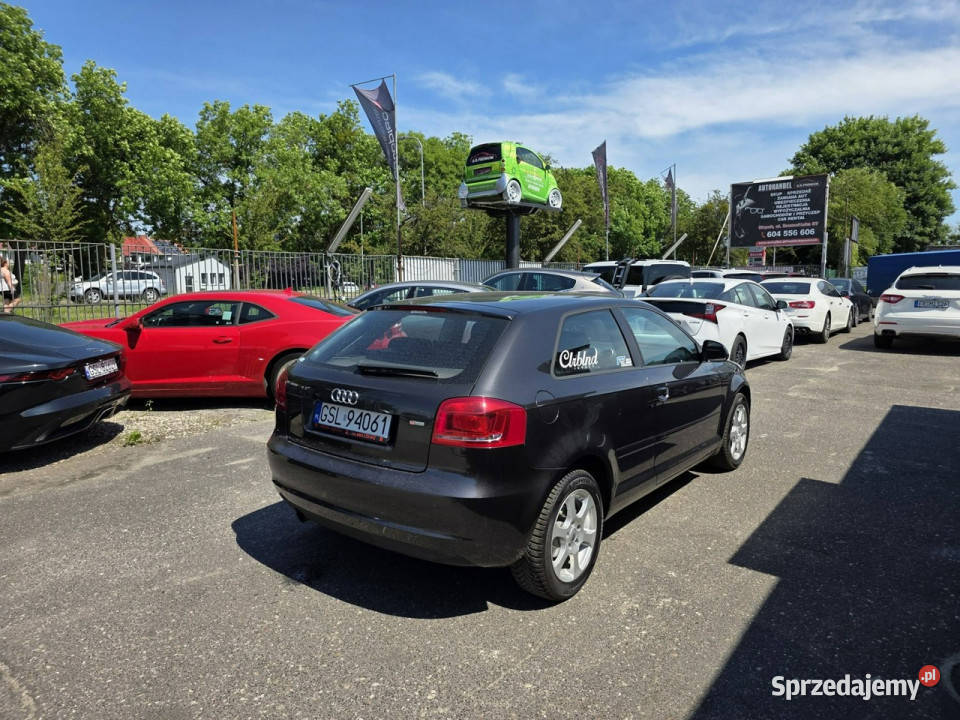 Audi A3 3drzwiowe 16 MPI 102 Daylight LED Xenon komputer pokładowy pomorskie