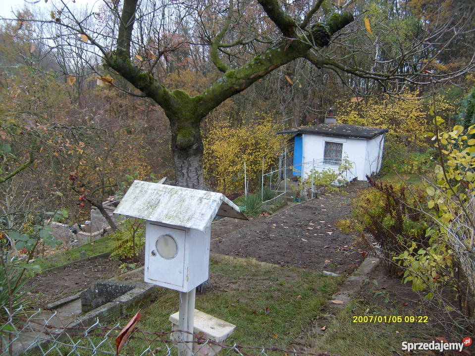 Sprzedam działkę na ROD Skarbówek Grunty i działki Szczecin