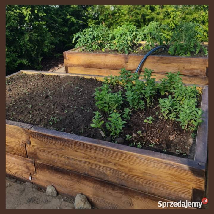 Kwietnik donica warzywnik betonowe drewno irys Donice ogrodowe Łódź