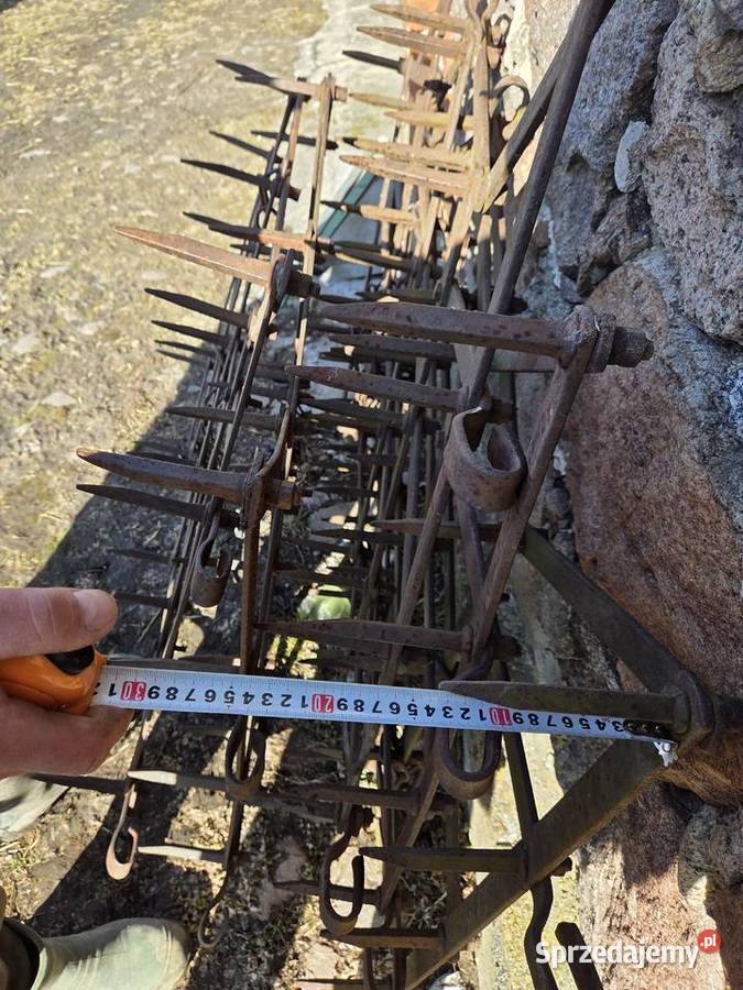 Pola 5 bron stan Żychlin