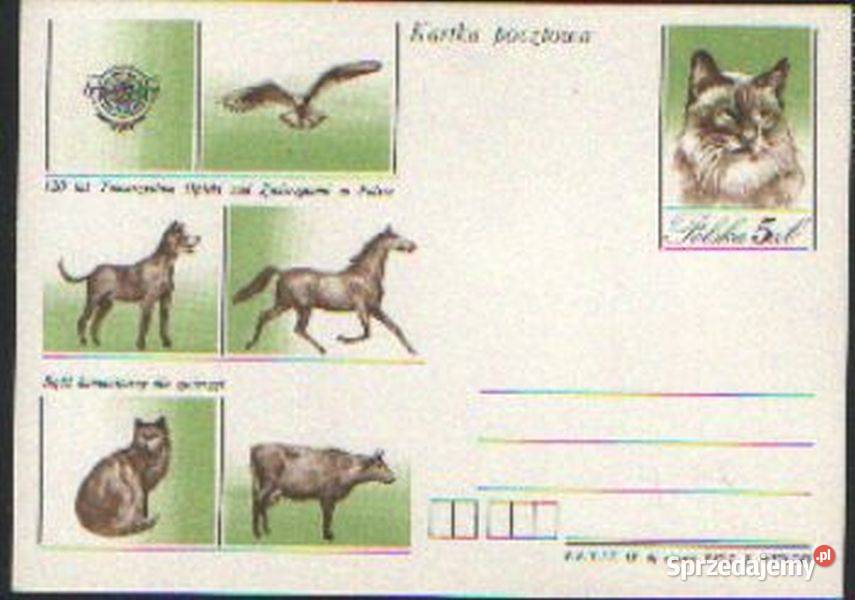 Kart Cp 892 1984 Gliwice