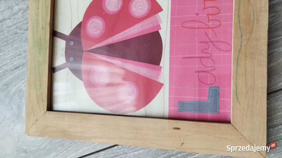 obraz obrazek dekoracyjny biedronka Poznań