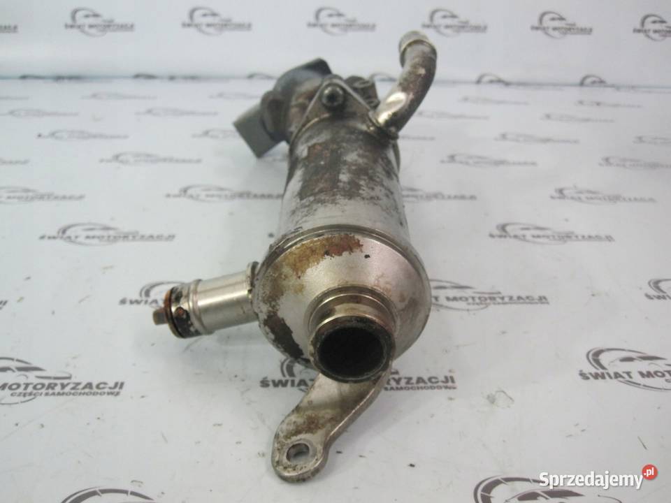 DISCOVERY 08r 27 TDV6 276DT 190 chłodniczka Kielce sprzedam