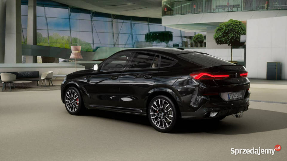 BMW X6 X6 xDrive30d Dostępne ręki G06 2019 Łódź