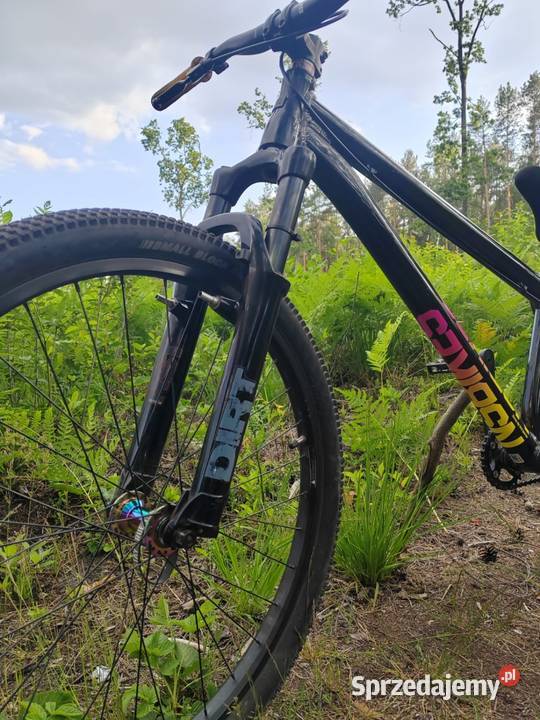 Rower Dirt NS Bikes Zircus z grudnia 2023 Warszawa