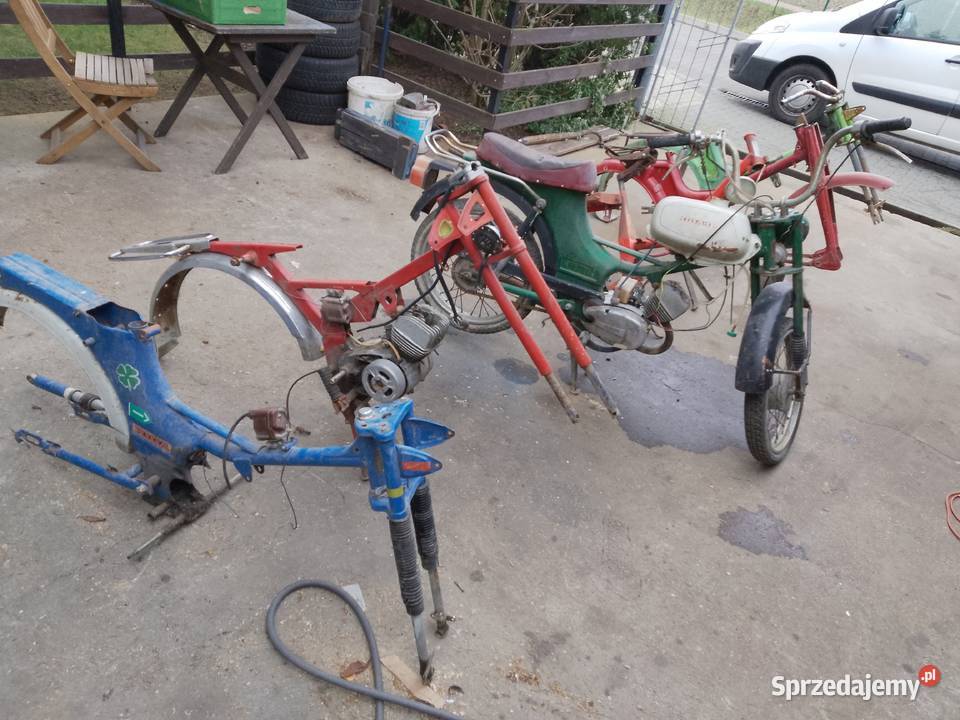 Komar Wierzchowina Riga Pakiet Całość uszkodzony Komar Plewiska