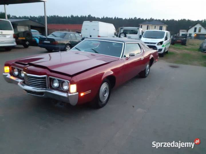 Ford Thunderbird garażowany
