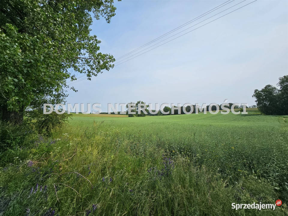 Do sprzedaży działka GałkówekParcela 3220m2 Gałkówek-Parcela sprzedam