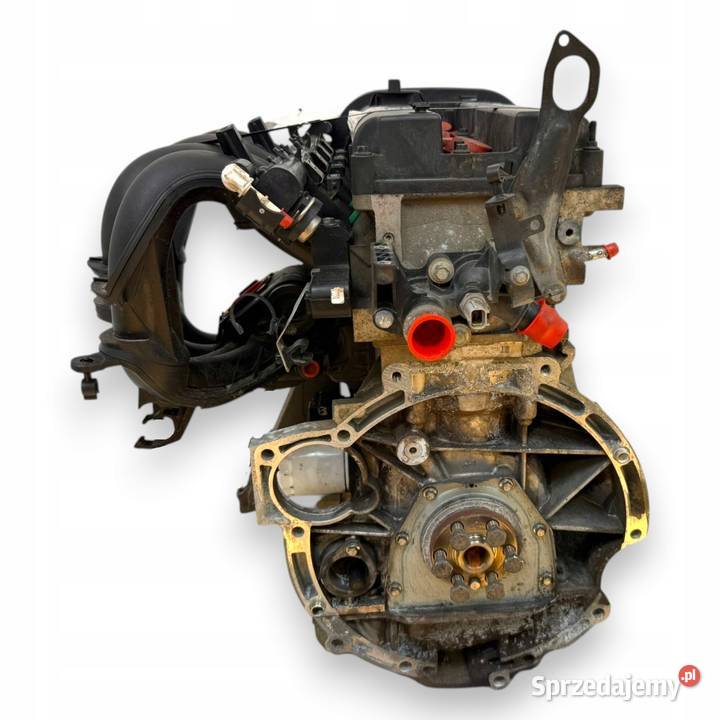 SILNIK SHDA Ford Focus II MK2 C C 16 16V 100 osobowe