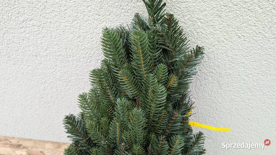 Choinka sztuczna PURE LIVING INTERIOR DESIGN 220 małopolskie Jadowniki