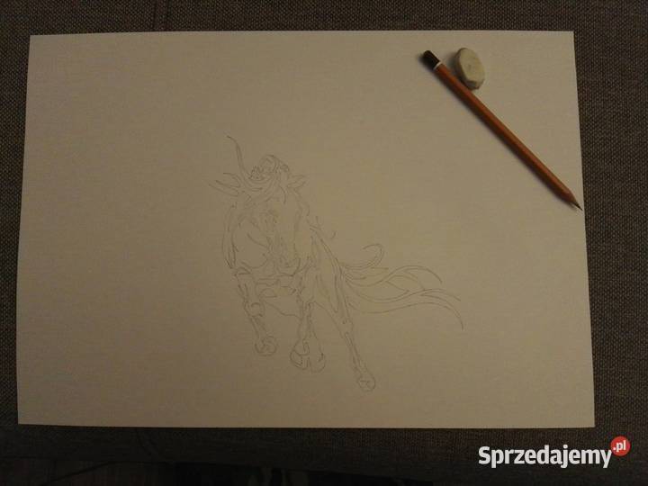 Rysunek pegaz cienkopis blok tech A3 250 gm2 Malarstwo Warszawa
