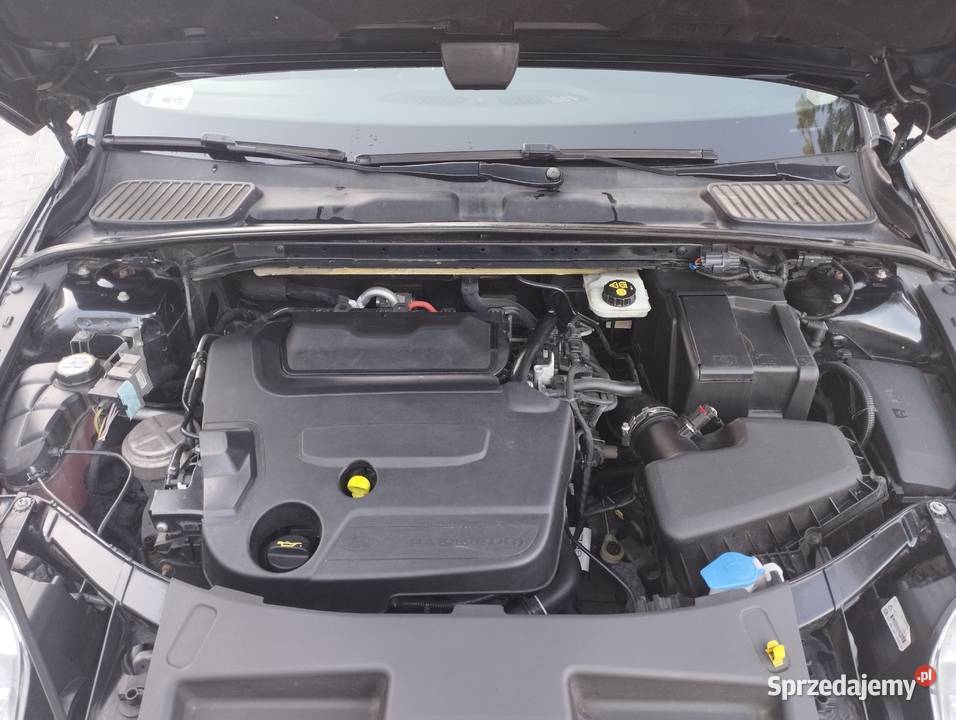 Ford Mondeo IV 163 Champions Prywatna osoba Białobrzegi