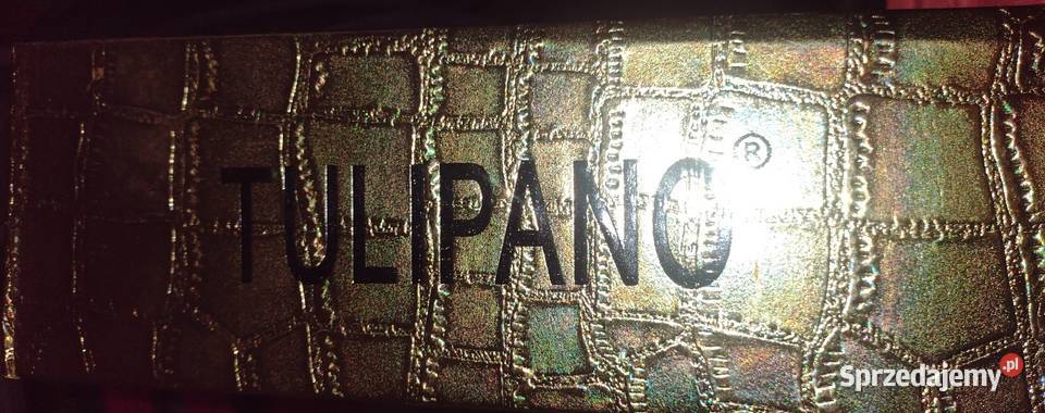 Sprzedam damskie dziewczęce na dziewczyny buty Międzyborów