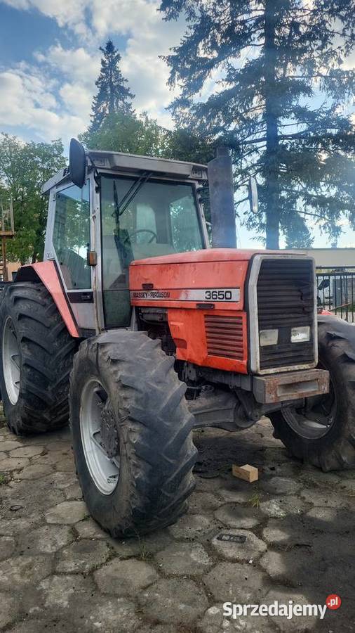 Massey Ferguson 3650 Radzyń Podlaski