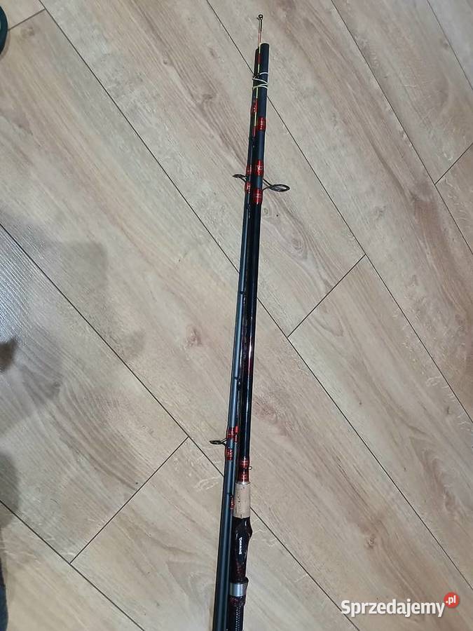 Wędka fedeer Bałtów