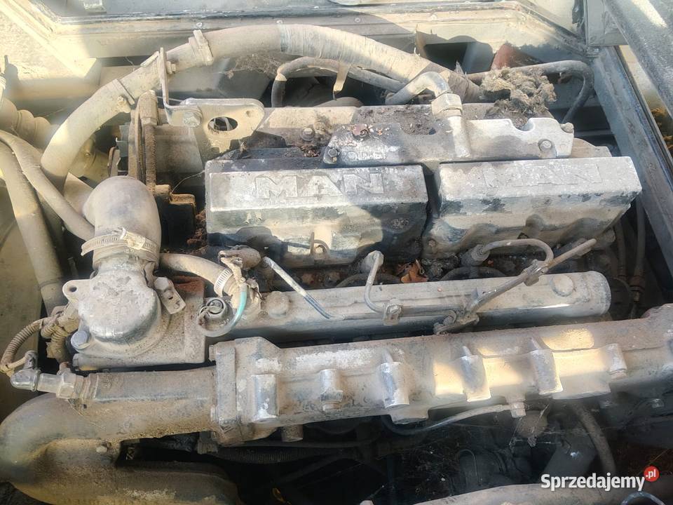 Dwa autobusy Autosan Jelcz zachodniopomorskie Pyrzyce