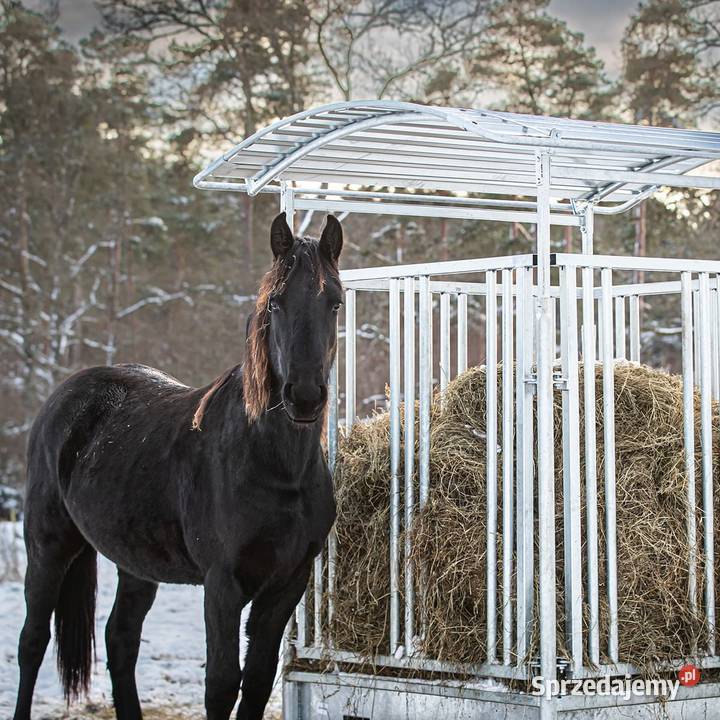 Paśnik 15 x 15 m z przesuwanymi przegrodami i Kluczbork