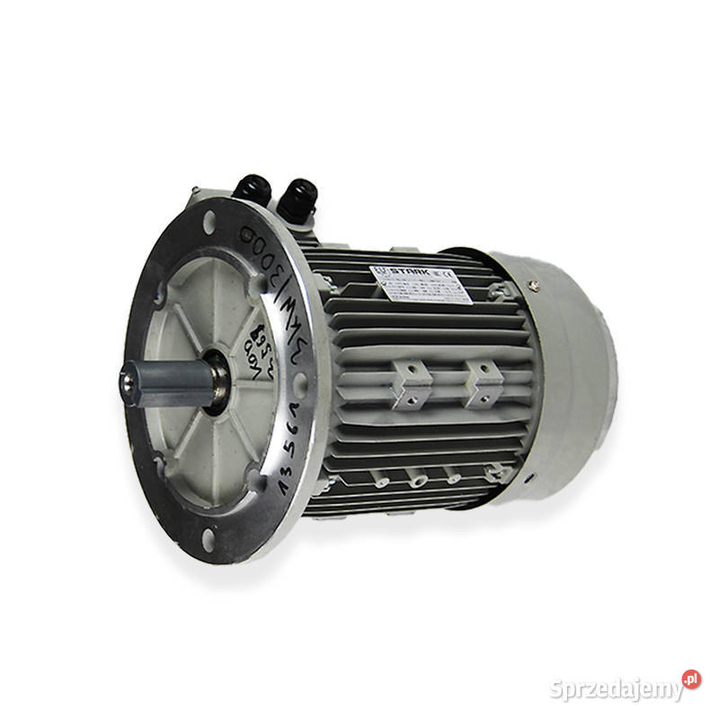 SILNIK ELEKTRYCZNY STARK 30 kW 2870 obr Ryki
