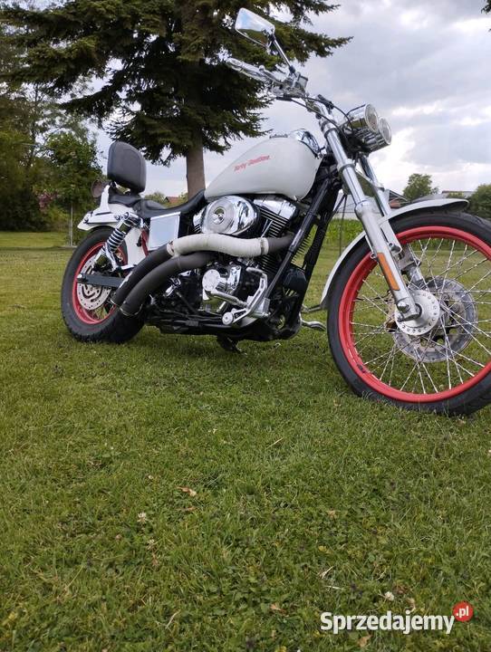 Harley Davidson FXDLI 5 HD 1 Wrocław