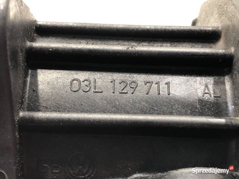 KOLEKTOR SSĄCY VW GOLF VI 03L129711AL 16 105 Części samochodowe podkarpackie
