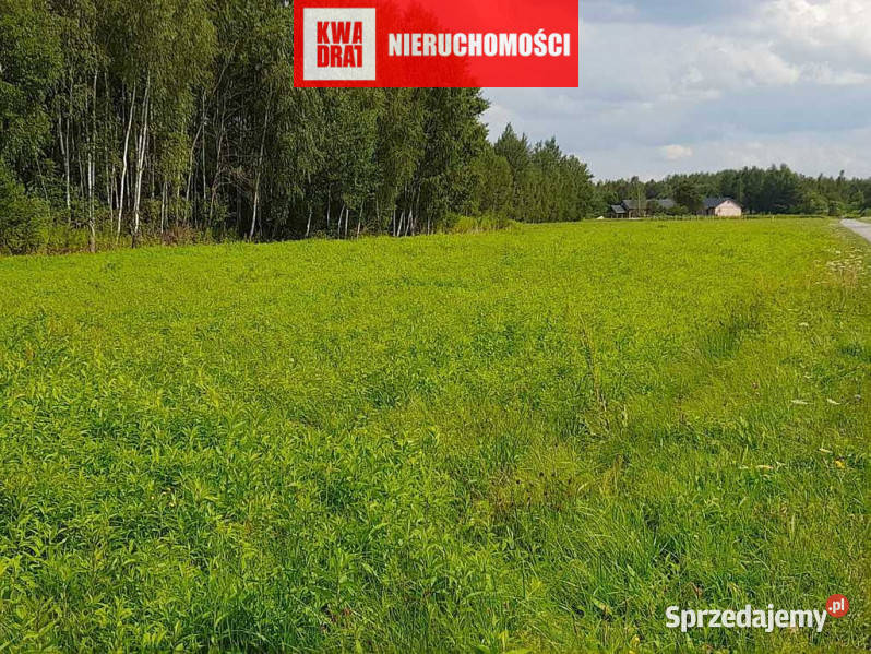 Przybkowo Wałcz działka Budowlana sprzedam