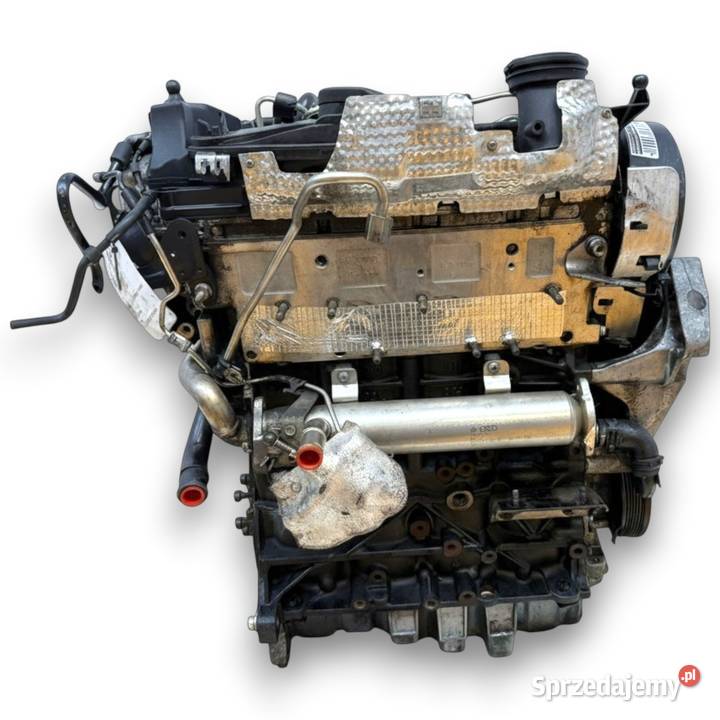 SILNIK CBA CBAB VW Golf VI Eos Passat B6 CC Chełm