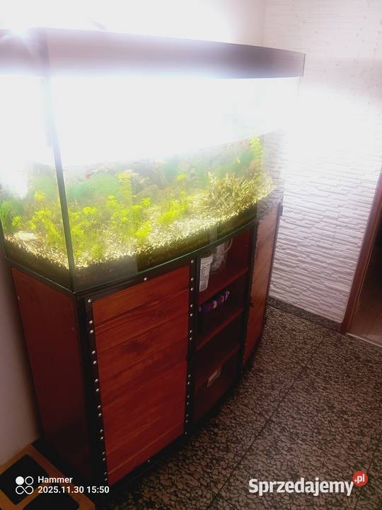 Akwarium szafka pompka zamiana prl Twardogóra