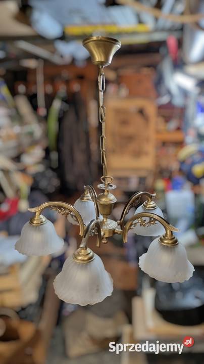 Różności Gdańsk sprzedam