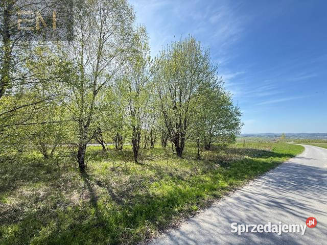 Działka 1214m2 Jaszczurowa