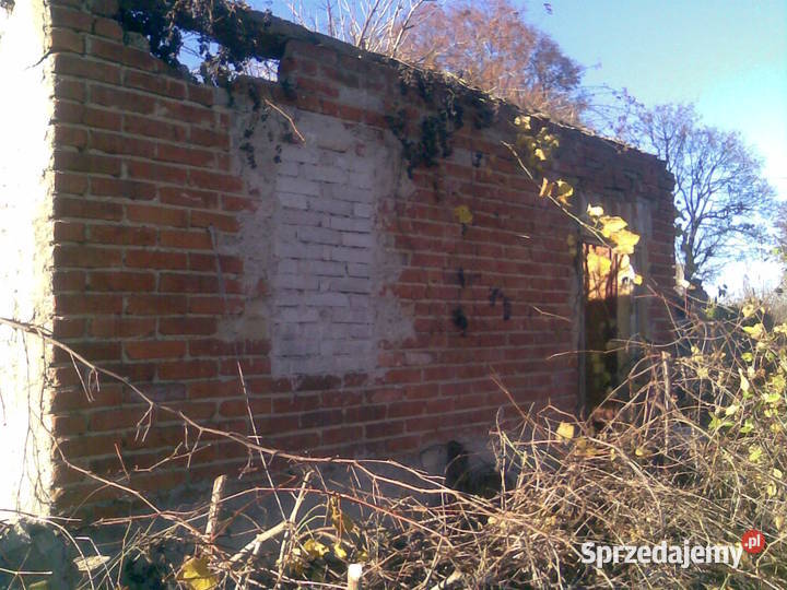 gruz oddam świętokrzyskie Opatów