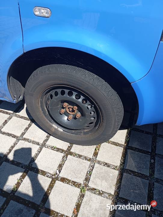 Wv t5 transporter opolskie Głuchołazy