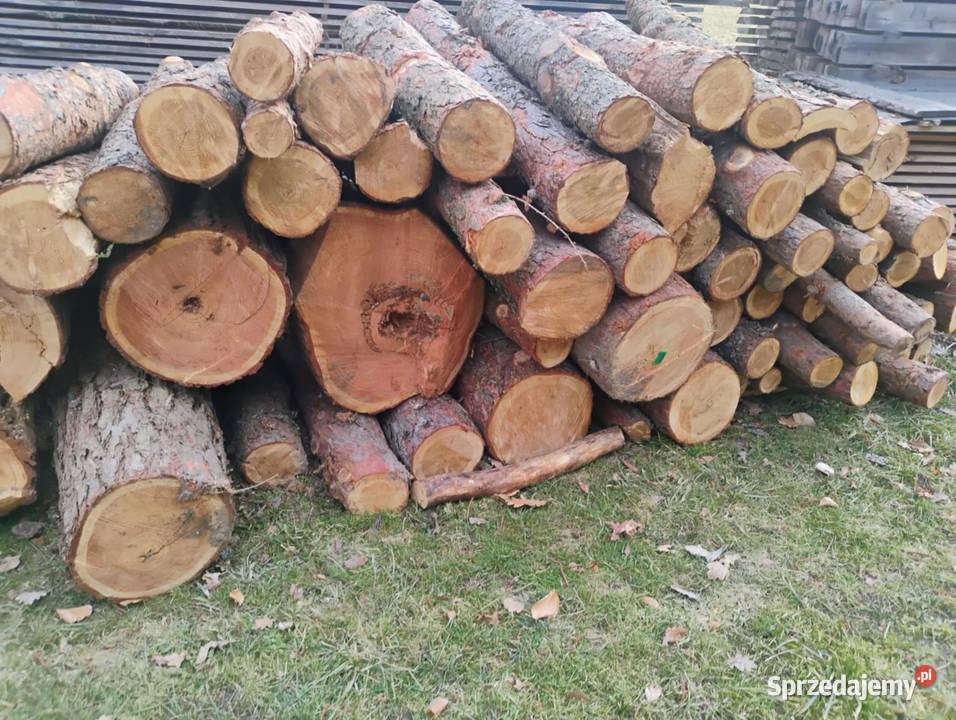 Drewno opałowe bukowe stosowe rąbane suche deski Zamość