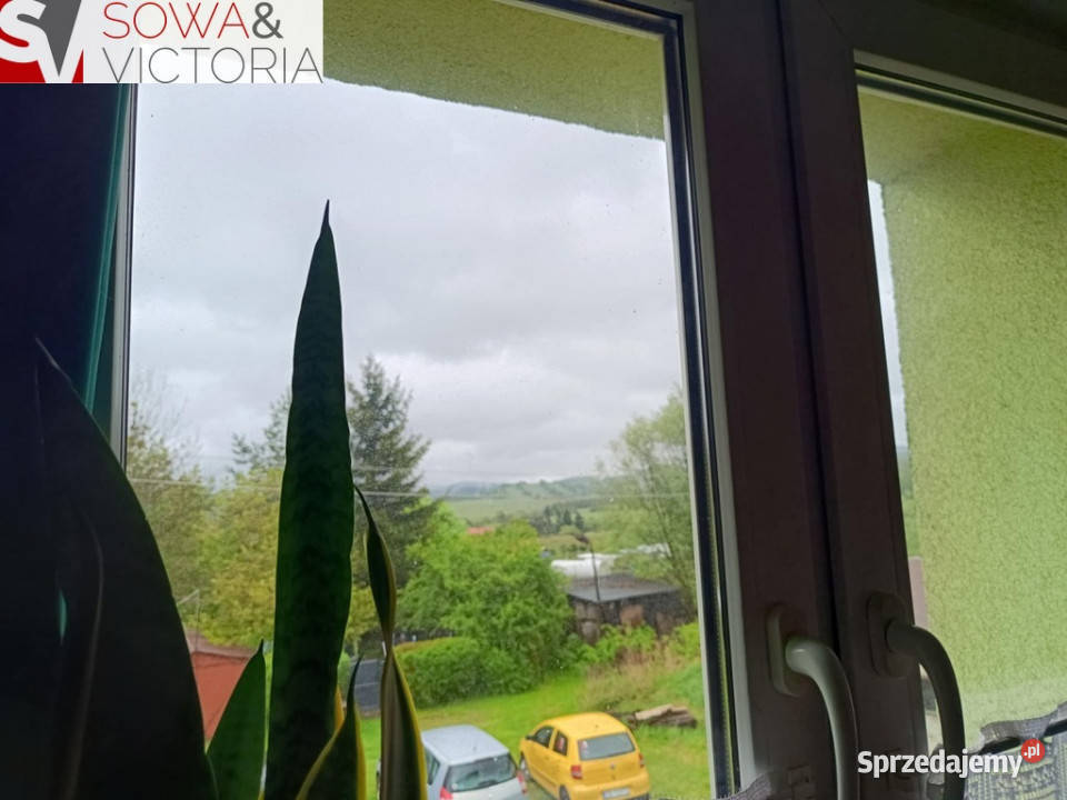 Widok na Góry Sowie baza wypadowa Cisza dolnośląskie