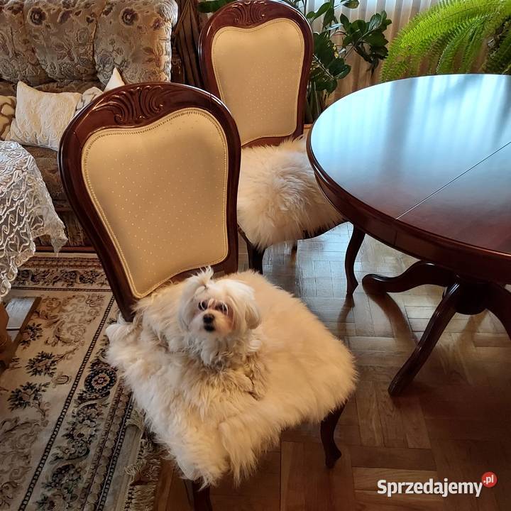 Podkładki na Krzesło 4 Sztuki Skóra Owcza