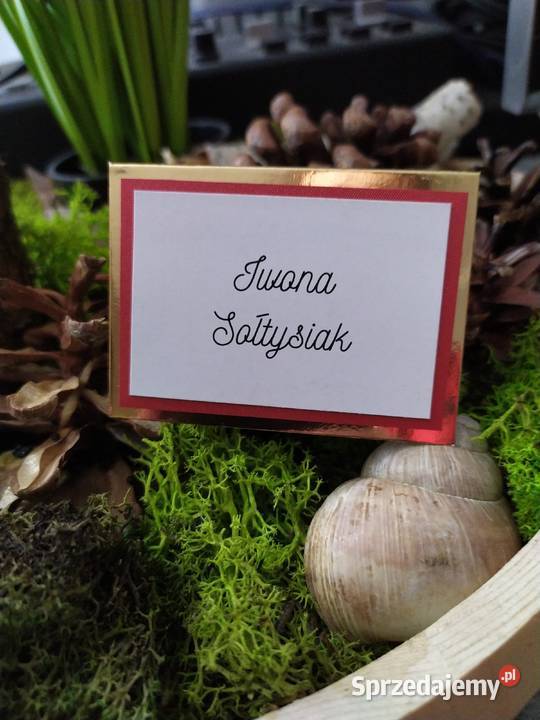 Winietki wielkopolskie Konin