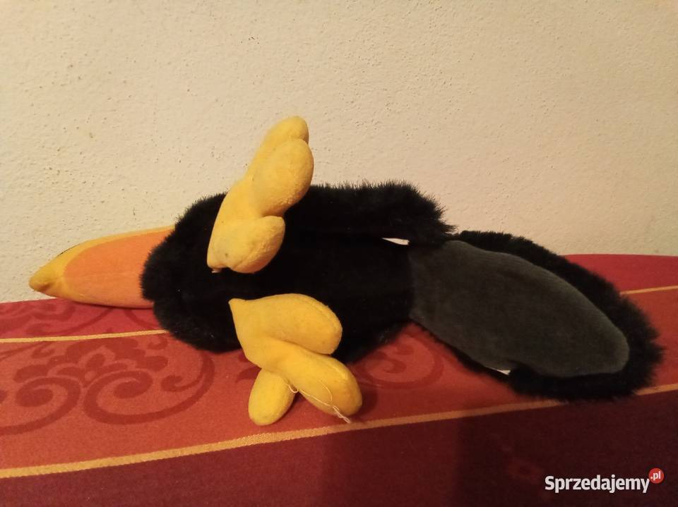 Pluszowy tukan Warszawa