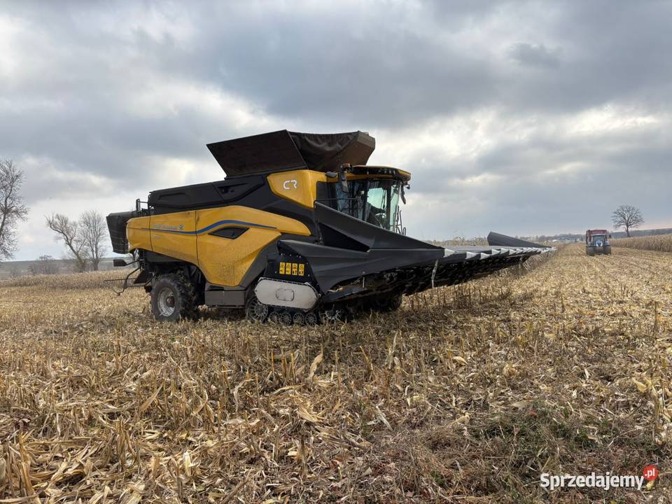 Koszenie kukurydzy opolskie cr11 opolskie