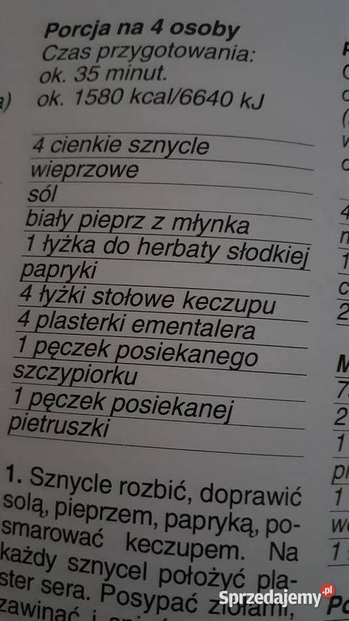 Grill fartuch Szczecin