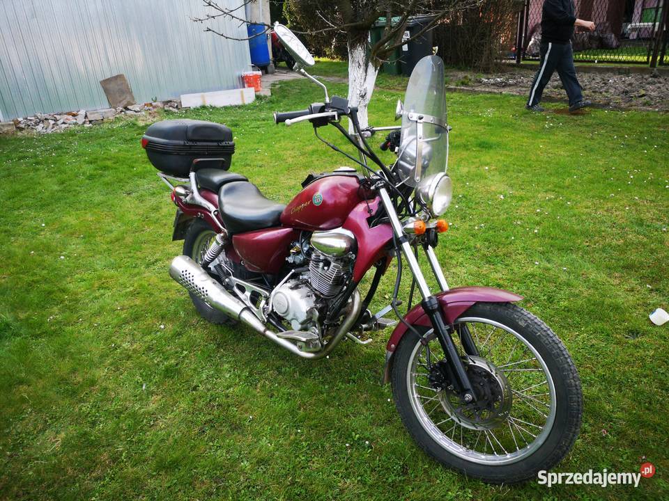 Chopper Rex SMC 12550 Zawiercie