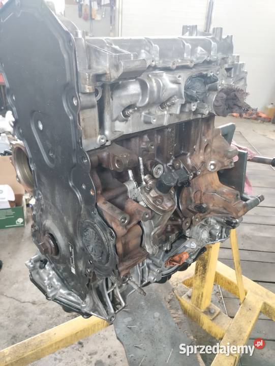 silnik ford mondeo 2020r 20 ecoblue Syców