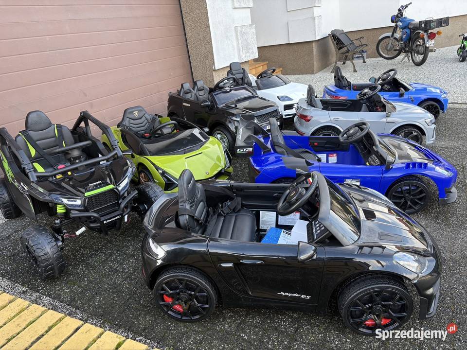 Auto Na Akkumulator Nowe Każdy rodzaj Grabownica