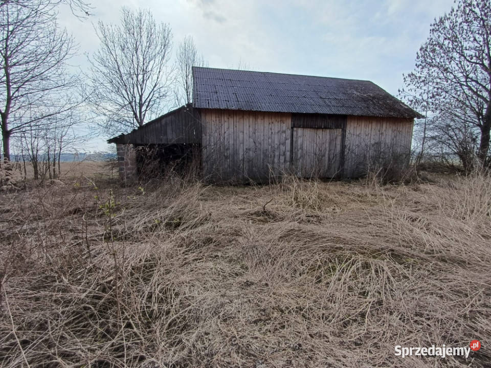 Dom Celiny Złota na sprzedaż zamiana cegła